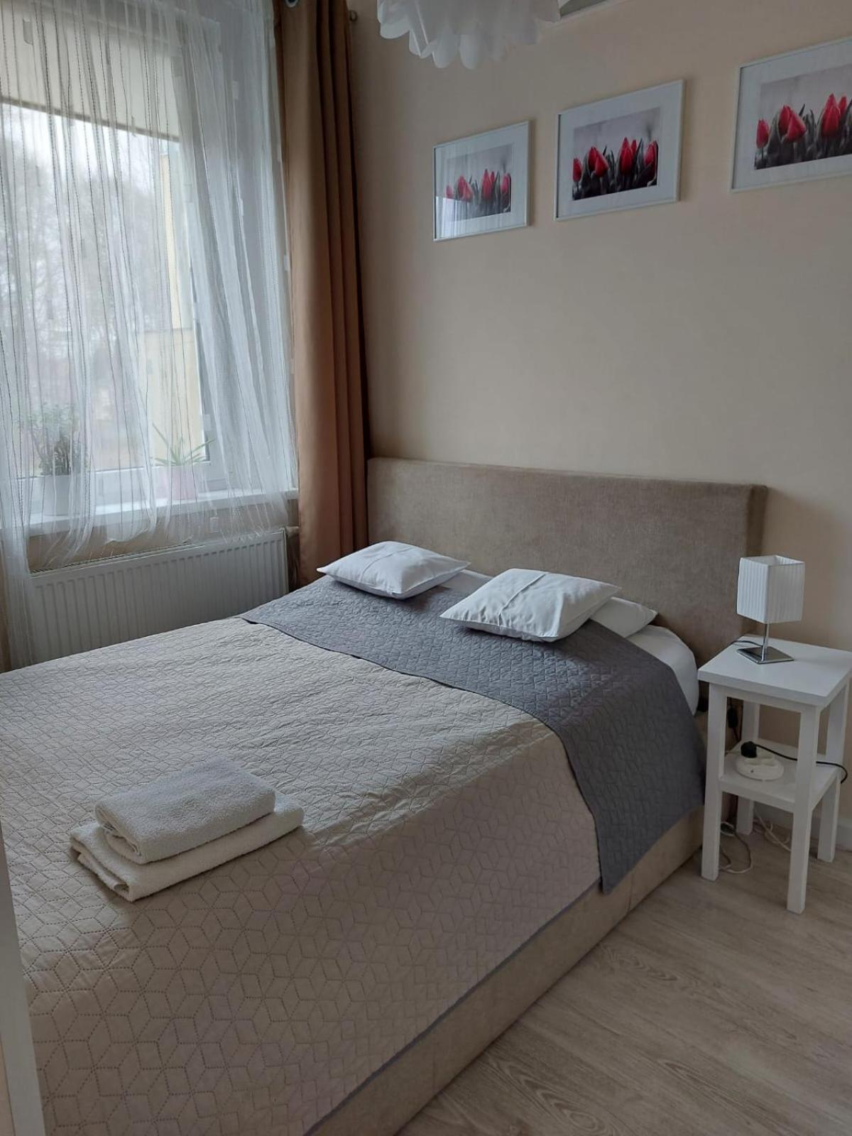 Come&Stay Zielona Gora Dış mekan fotoğraf